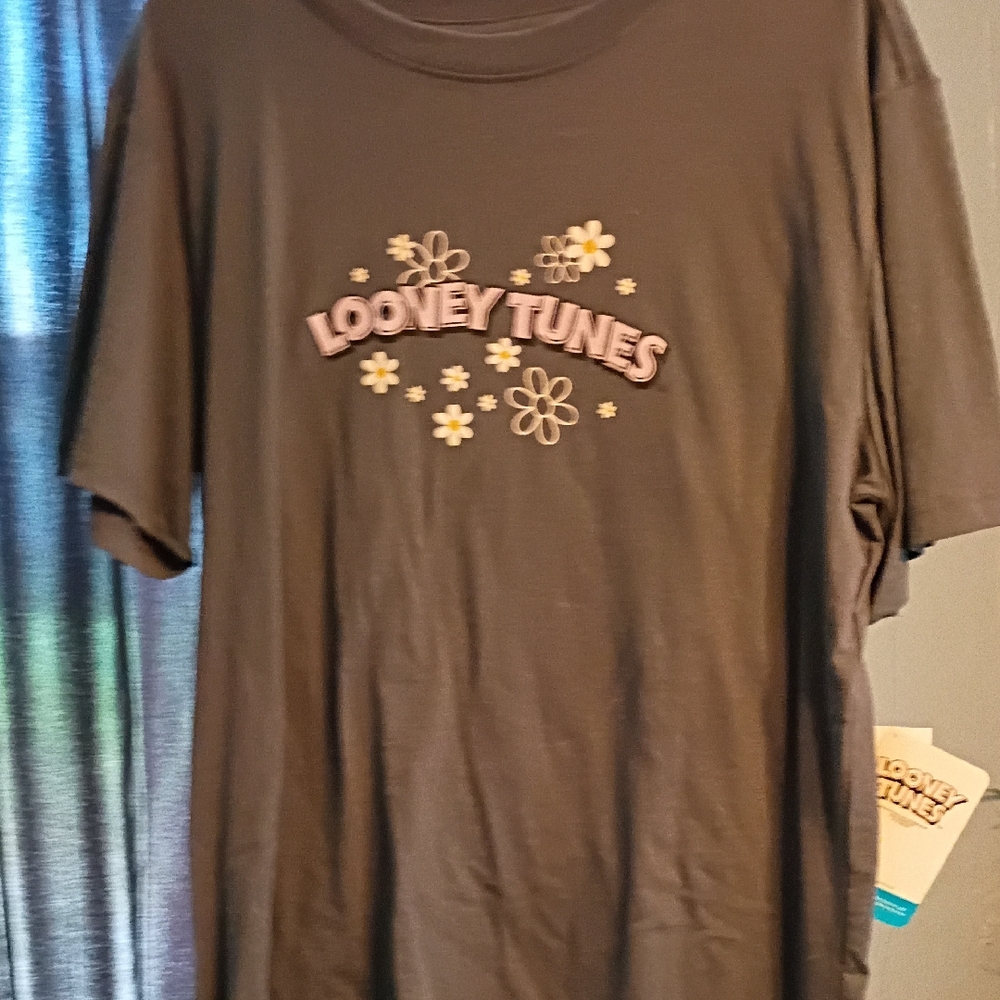 Warner Bros. Looney Tunes Slate Gray Tee